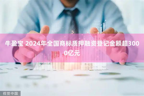 牛盈宝 2024年全国商标质押融资登记金额超3000亿元