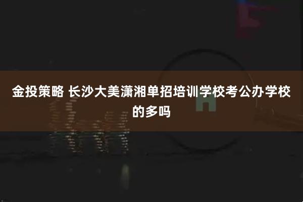 金投策略 长沙大美潇湘单招培训学校考公办学校的多吗