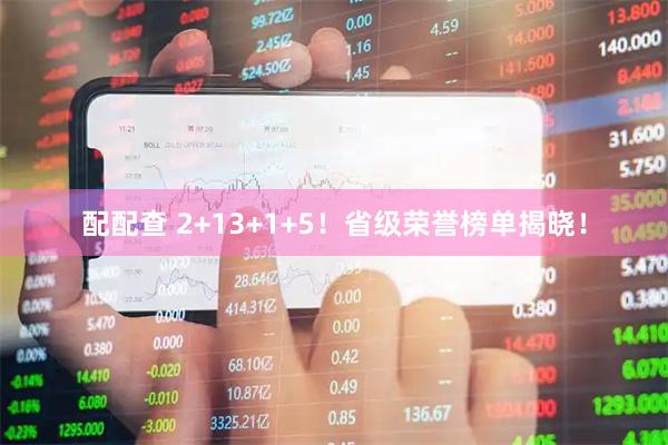 配配查 2+13+1+5！省级荣誉榜单揭晓！