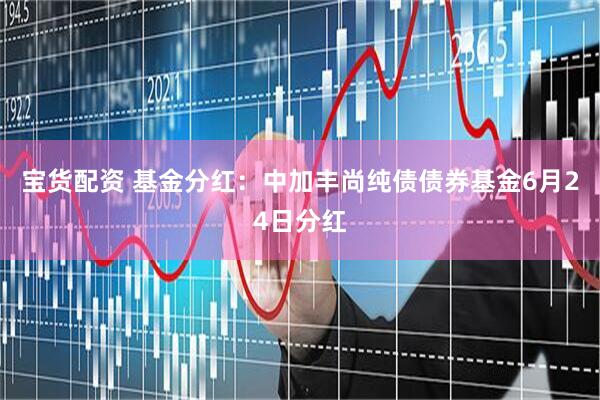 宝货配资 基金分红：中加丰尚纯债债券基金6月24日分红