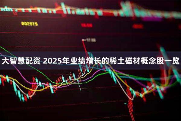 大智慧配资 2025年业绩增长的稀土磁材概念股一览