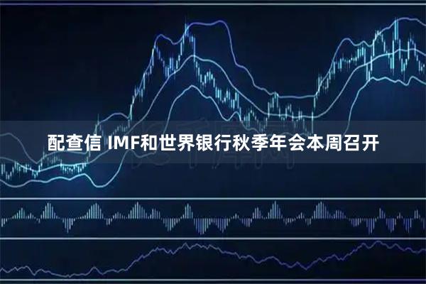 配查信 IMF和世界银行秋季年会本周召开