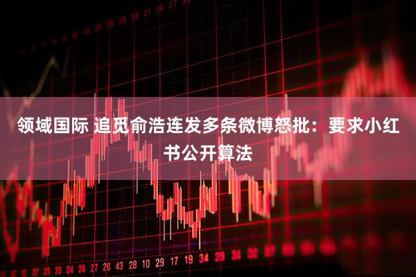 领域国际 追觅俞浩连发多条微博怒批：要求小红书公开算法